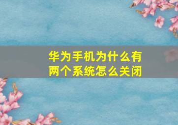 华为手机为什么有两个系统怎么关闭