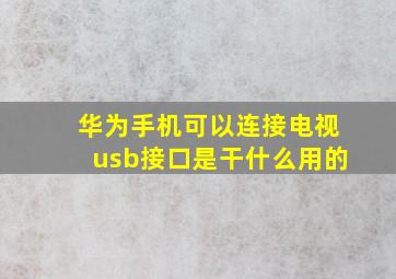 华为手机可以连接电视usb接口是干什么用的