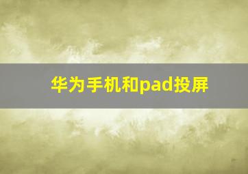 华为手机和pad投屏