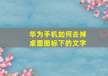 华为手机如何去掉桌面图标下的文字