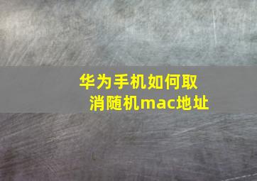 华为手机如何取消随机mac地址