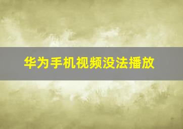 华为手机视频没法播放