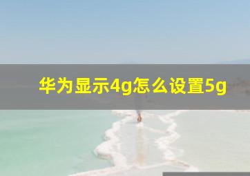 华为显示4g怎么设置5g