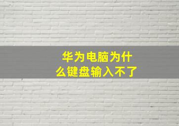 华为电脑为什么键盘输入不了