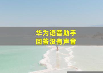 华为语音助手回答没有声音