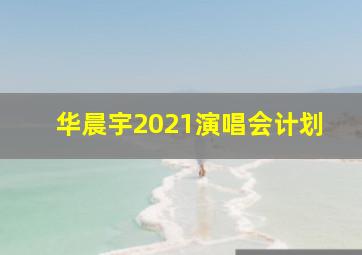 华晨宇2021演唱会计划