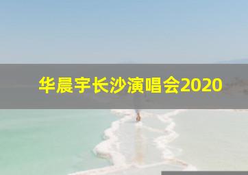 华晨宇长沙演唱会2020