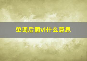 单词后面vi什么意思