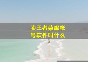 卖王者荣耀帐号软件叫什么