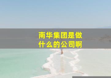 南华集团是做什么的公司啊