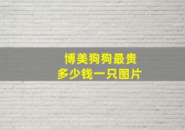 博美狗狗最贵多少钱一只图片