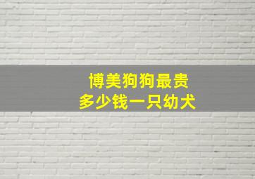 博美狗狗最贵多少钱一只幼犬