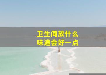 卫生间放什么味道会好一点