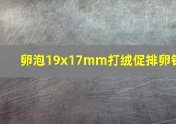 卵泡19x17mm打绒促排卵针