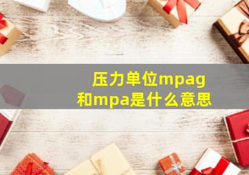 压力单位mpag和mpa是什么意思