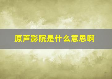 原声影院是什么意思啊