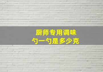 厨师专用调味勺一勺是多少克