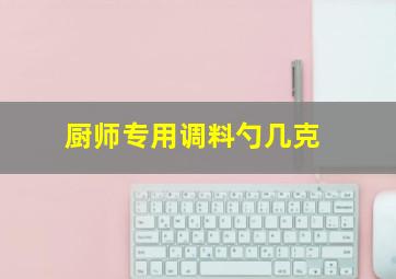 厨师专用调料勺几克