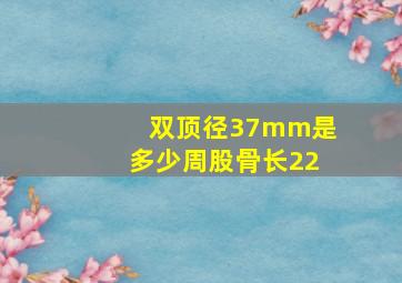 双顶径37mm是多少周股骨长22