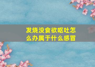 发烧没食欲呕吐怎么办属于什么感冒