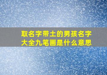 取名字带土的男孩名字大全九笔画是什么意思