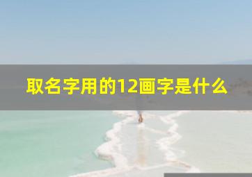 取名字用的12画字是什么