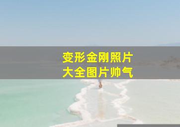 变形金刚照片大全图片帅气