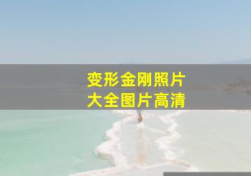 变形金刚照片大全图片高清