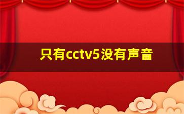 只有cctv5没有声音