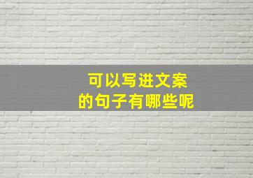 可以写进文案的句子有哪些呢