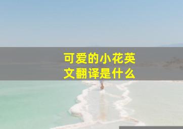 可爱的小花英文翻译是什么