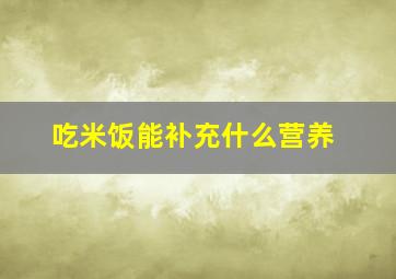 吃米饭能补充什么营养