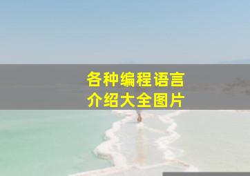 各种编程语言介绍大全图片