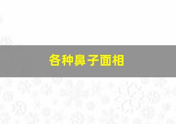 各种鼻子面相