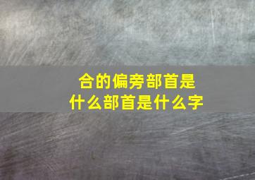 合的偏旁部首是什么部首是什么字