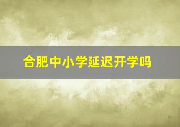 合肥中小学延迟开学吗