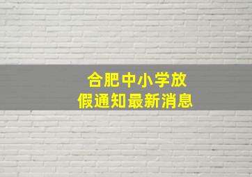 合肥中小学放假通知最新消息