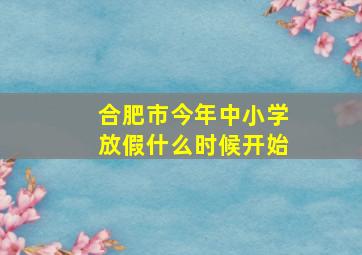 合肥市今年中小学放假什么时候开始