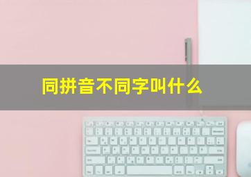 同拼音不同字叫什么