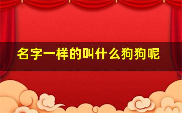 名字一样的叫什么狗狗呢