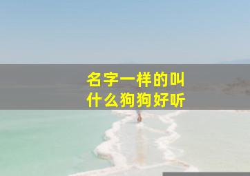 名字一样的叫什么狗狗好听