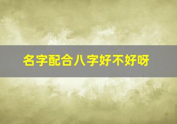 名字配合八字好不好呀