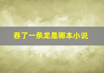 吞了一条龙是哪本小说