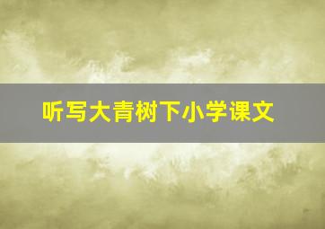 听写大青树下小学课文