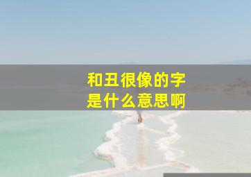 和丑很像的字是什么意思啊