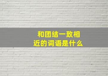 和团结一致相近的词语是什么