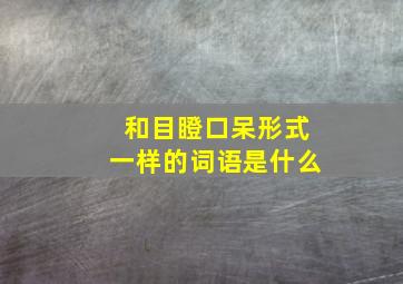 和目瞪口呆形式一样的词语是什么