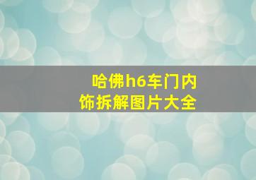 哈佛h6车门内饰拆解图片大全