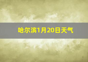 哈尔滨1月20日天气