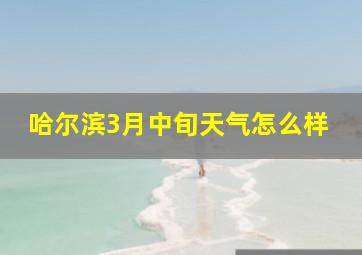 哈尔滨3月中旬天气怎么样